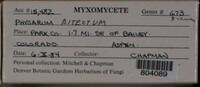 Image Associated With the Occurence